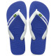 Havaianas Kids Brasil Logo